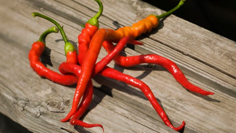 Cayenne pepper