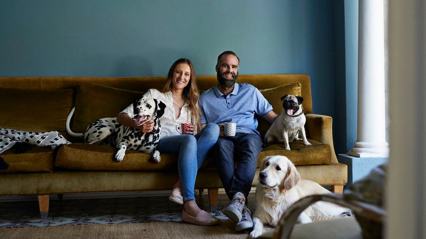 Happy couple sitting in sofa with their 3 dogs