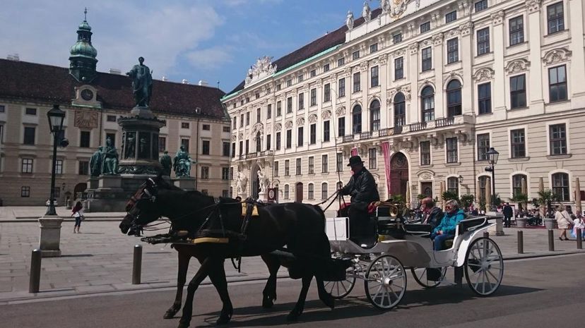 Horse drawn carriage