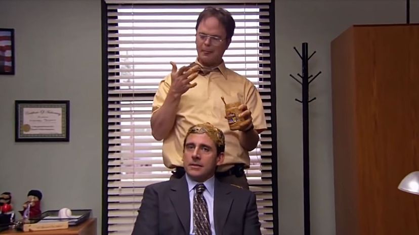 The Office 12