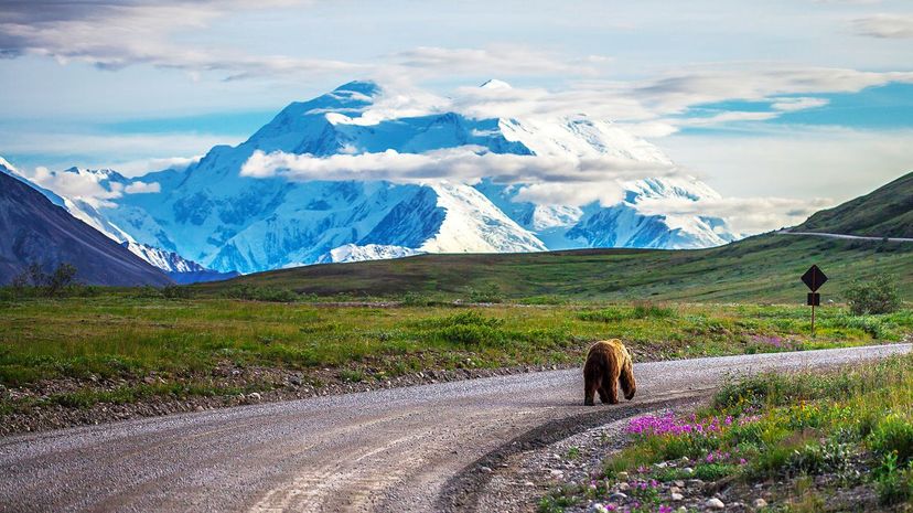 Mt. McKinley