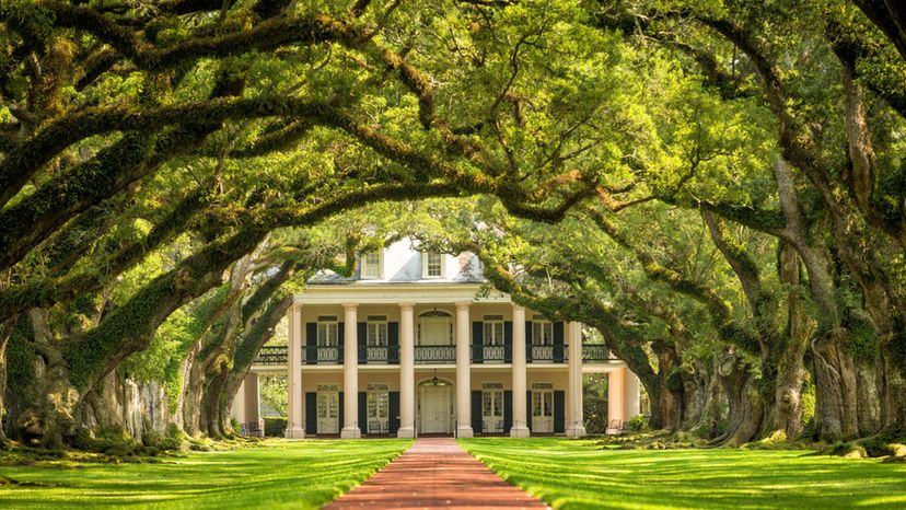 Oak Alley Plantation