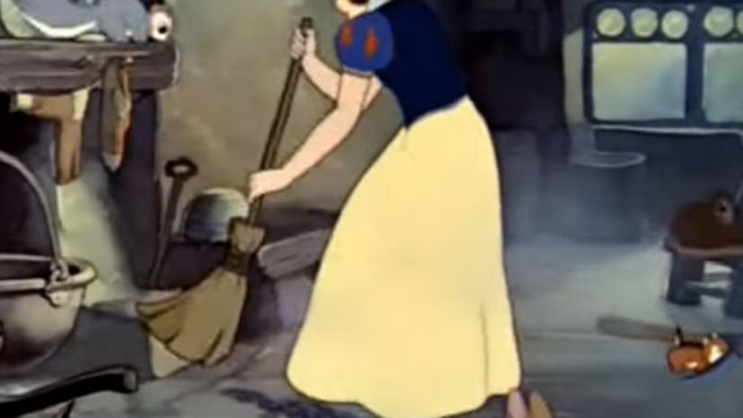 Snow Whites Cleaning Dress
