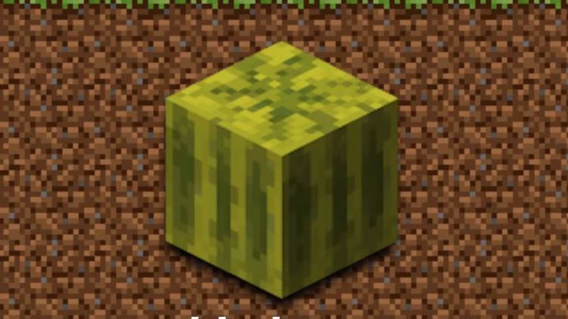 Melon Minecraft