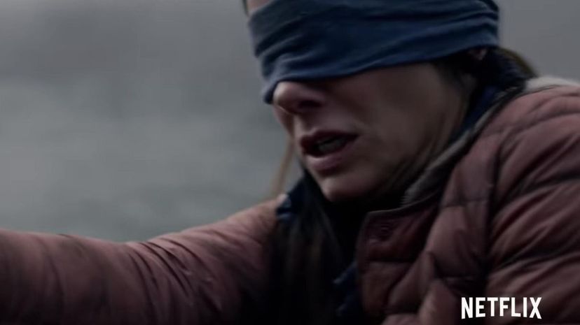 Bird Box