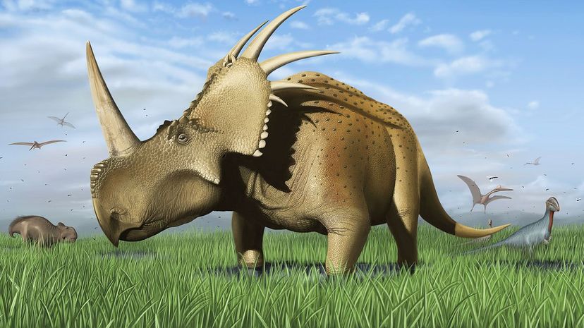 Styracosaurus