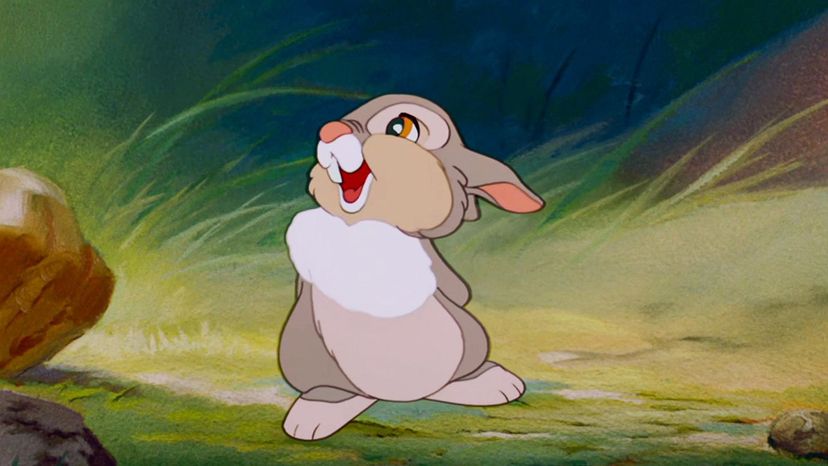 Thumper