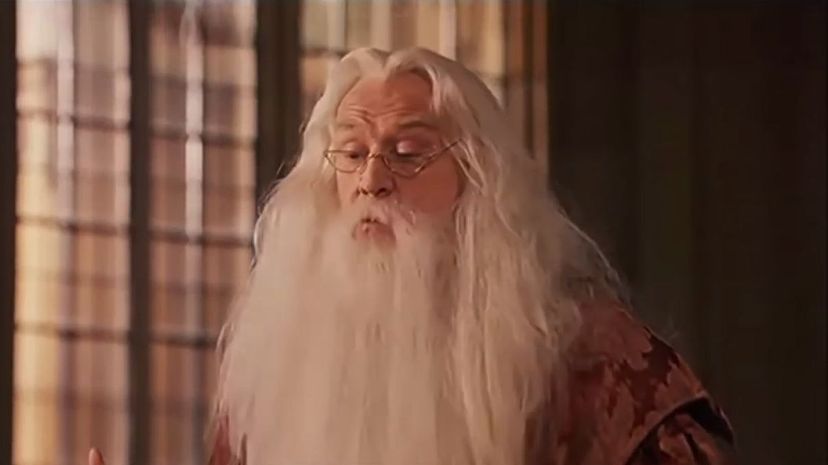 Dumbledore Every Flavor Bean