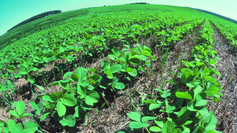 No-till farming