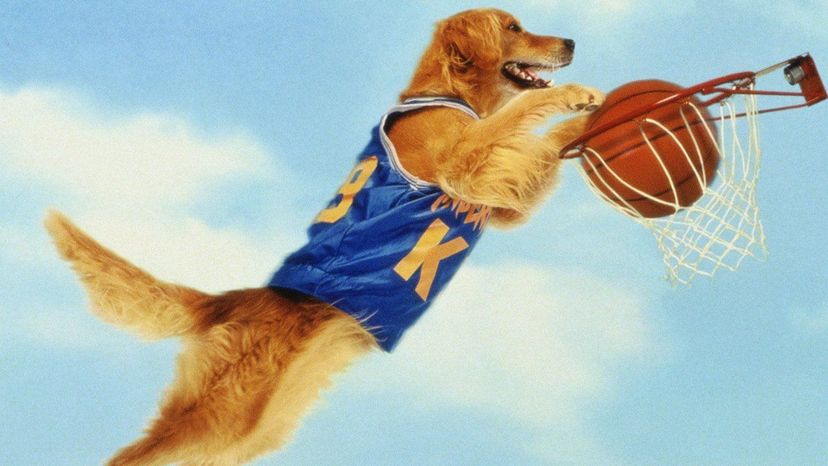 Air Bud