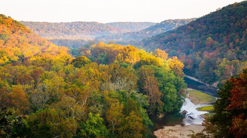 Mammoth Cave National Park