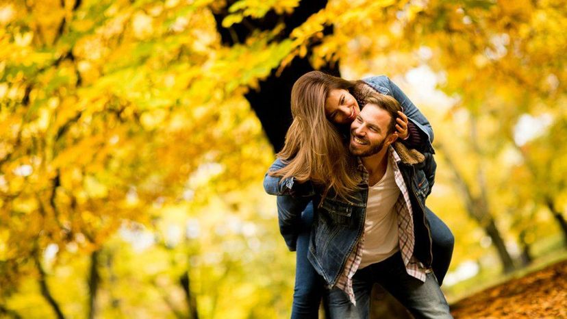 Will You Fall in Love This Fall?