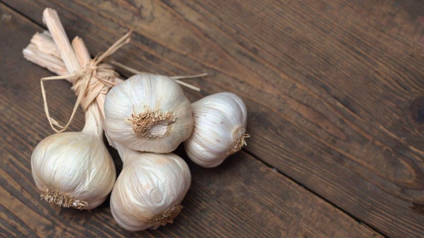 garlic