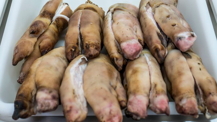 pig feet