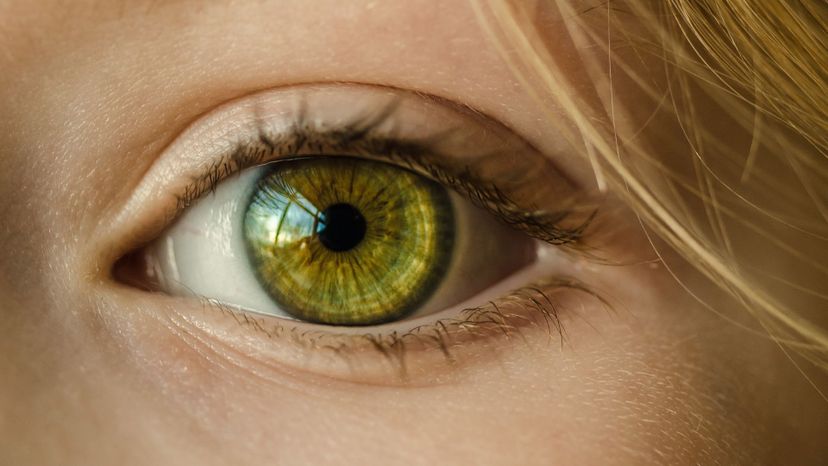 Can We Guess Your Eye Color Based on These Word Association Questions?
