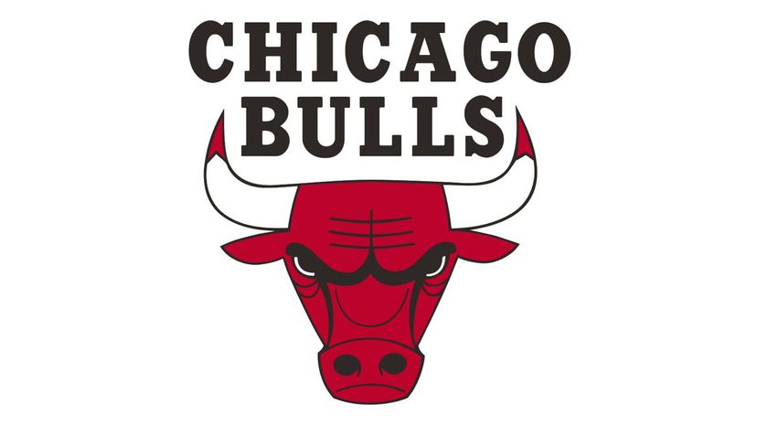 Q 01 The Chicago Bulls