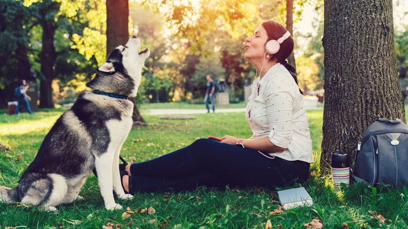 Woman and dog singing in the park