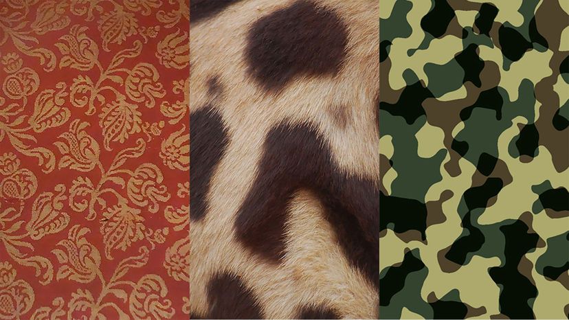 Can You Pass This Difficult Pattern Identification Quiz?