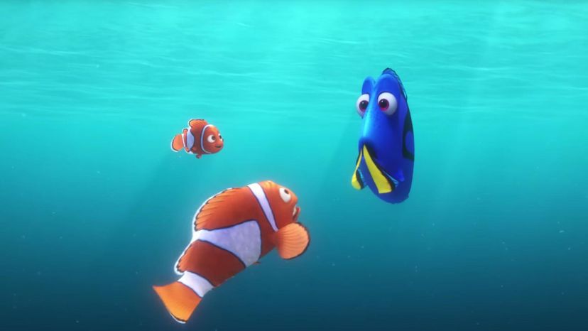 Finding Dory