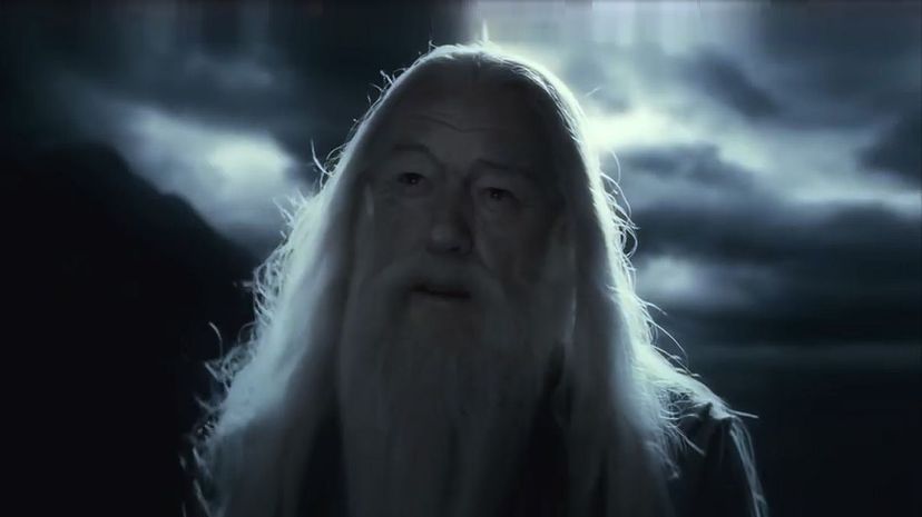 Albus Dumbledore16