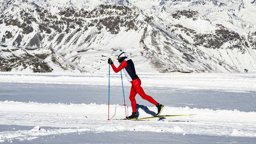 Nordic Skis