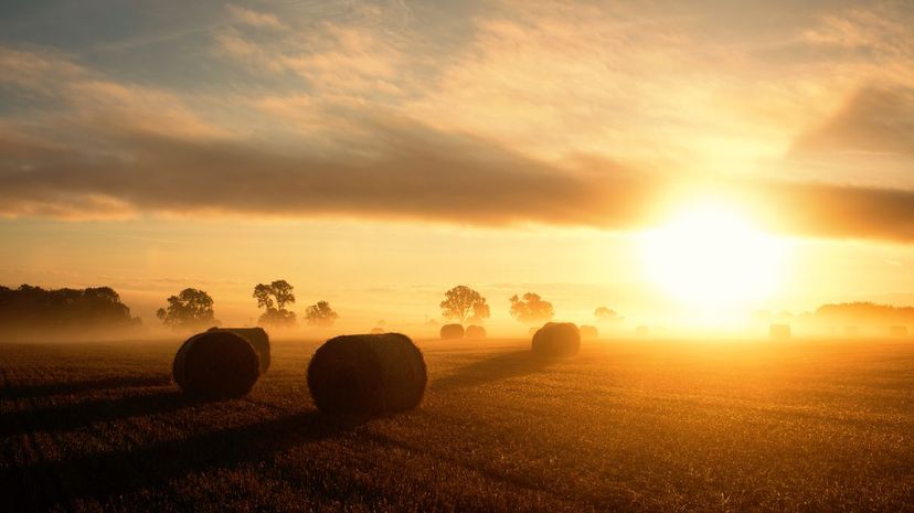 Sunrise over harvest field