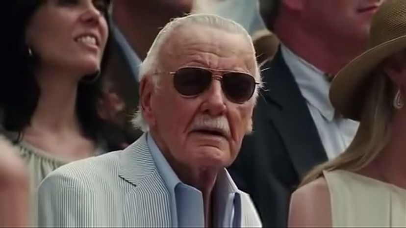 Can You Identify the Movie From Its Stan Lee Cameo1