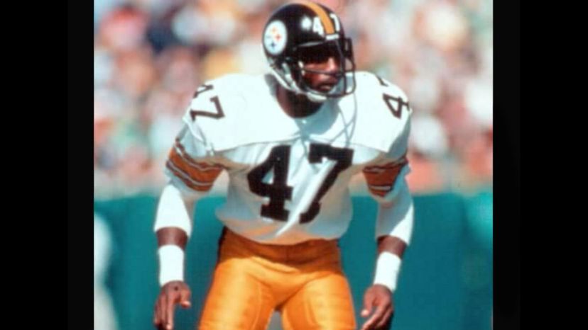 Mel Blount NFL