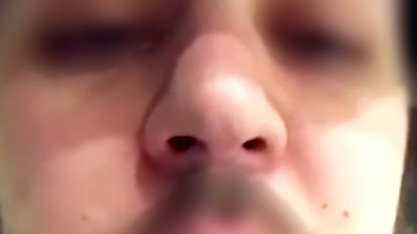 Who smells with this nose?