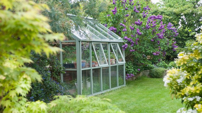8 greenhouse