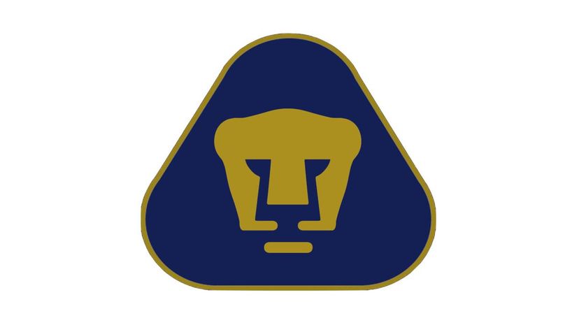 39_Pumas