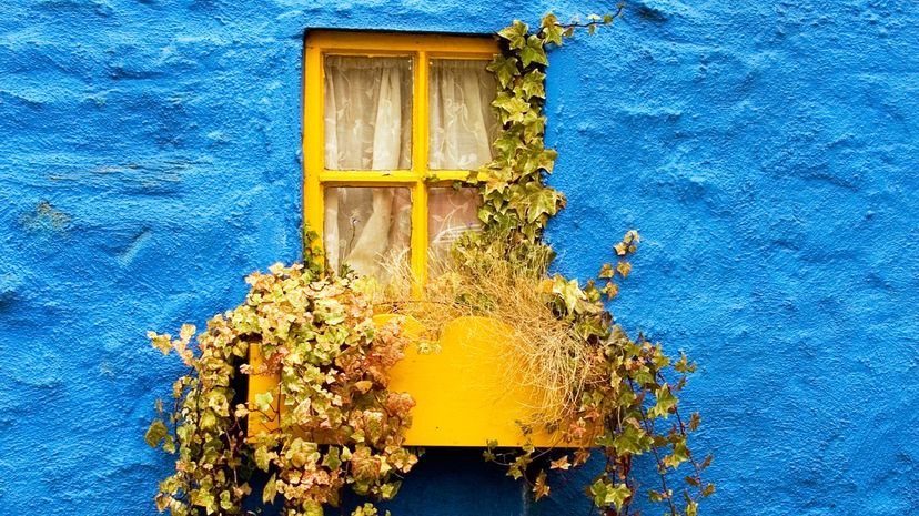 Window in Ireland