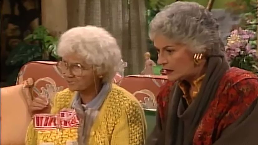 Dorothy Zbornak and Sophia Petrillo (Golden Girls)