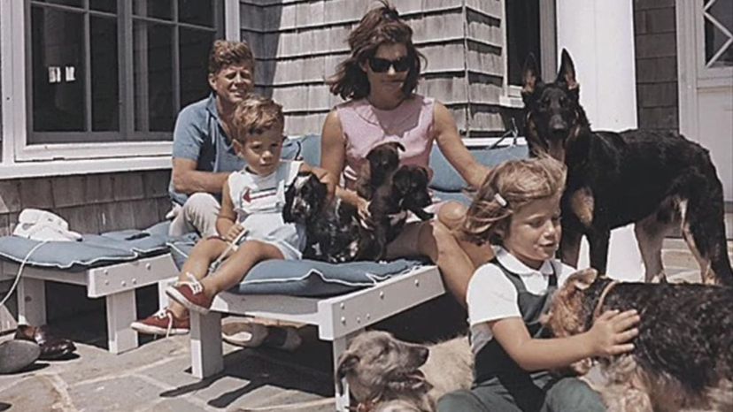 Can You Answer All These Questions About JFK?