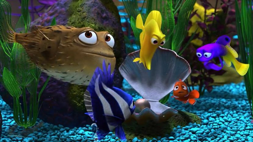 Are You a Finding Nemo Expert? | HowStuffWorks