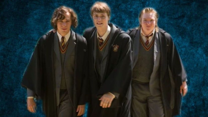 Which Harry Potter Marauder Are You?