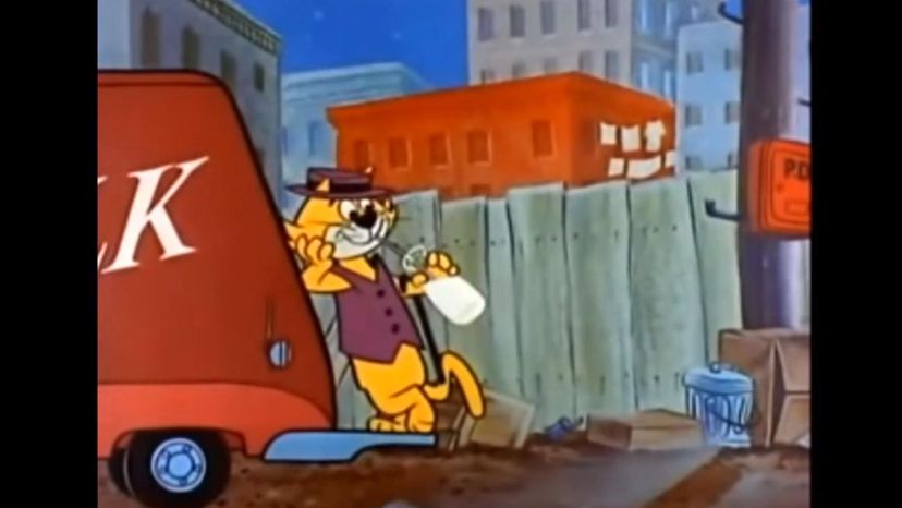 Top Cat