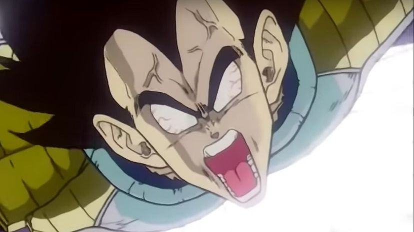 Q 17 Vegeta Enfadado