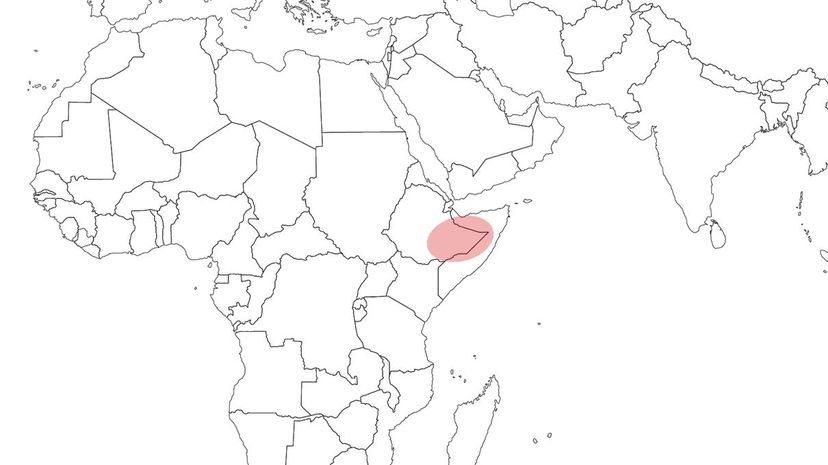 40 Ethiopia Somalia