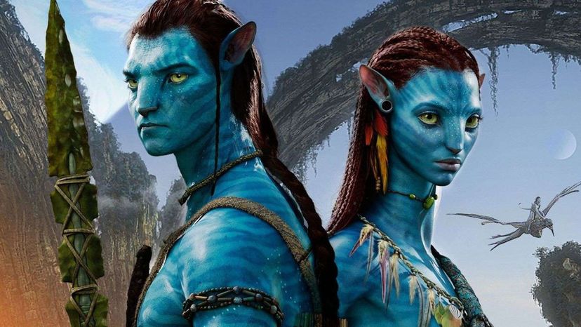 How Much Do You Know About AVATAR?