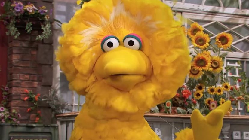 Big Bird