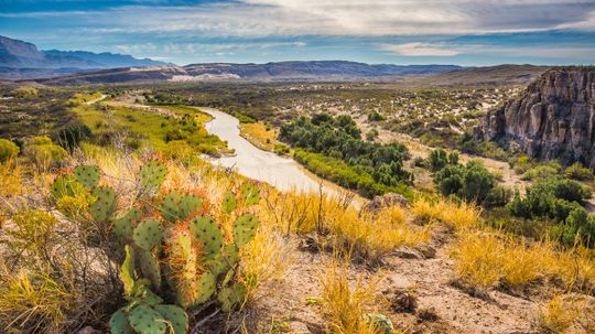 Can You Answer All of These Texas Trivia Questions Without Any Hints?