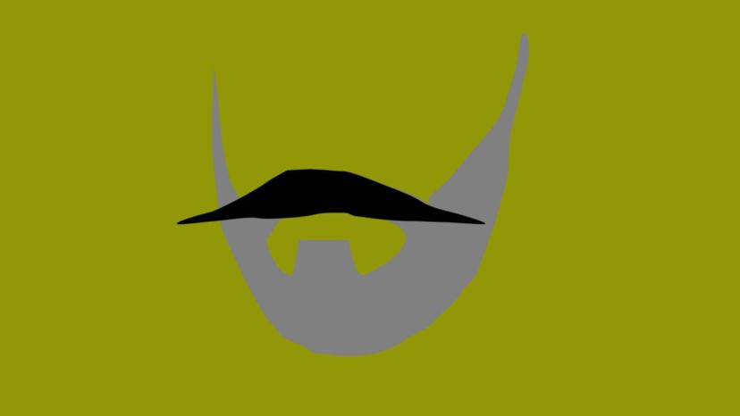 Can You Name the Style of These Movember Mustaches? | HowStuffWorks