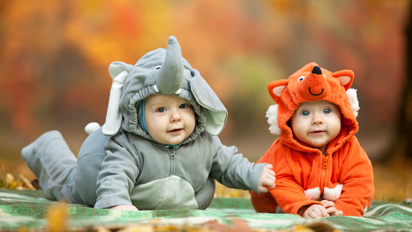 What Animal Should You Dress Up As This Halloween?