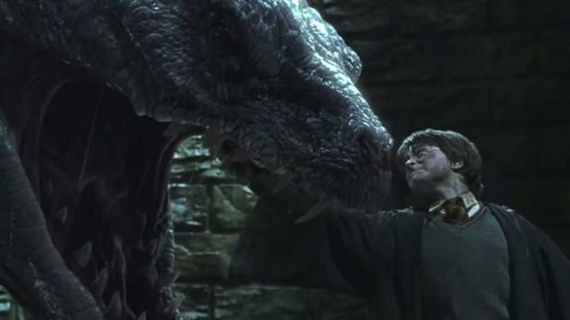 Harry Potter Stabs Basilisk