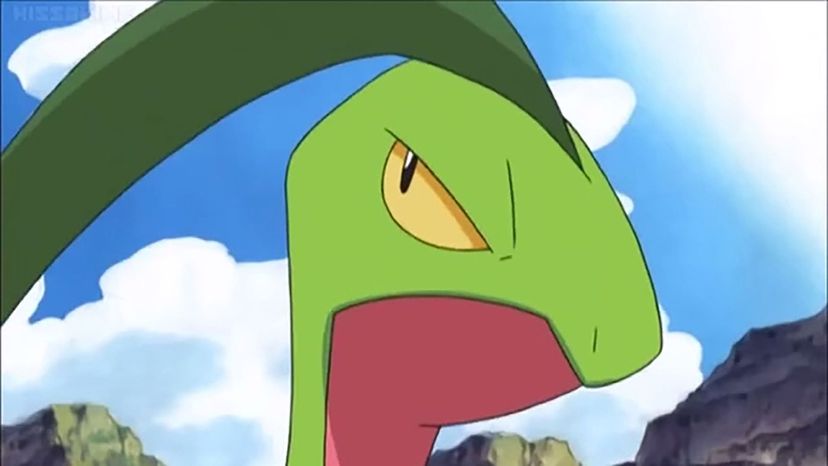 Grovyle