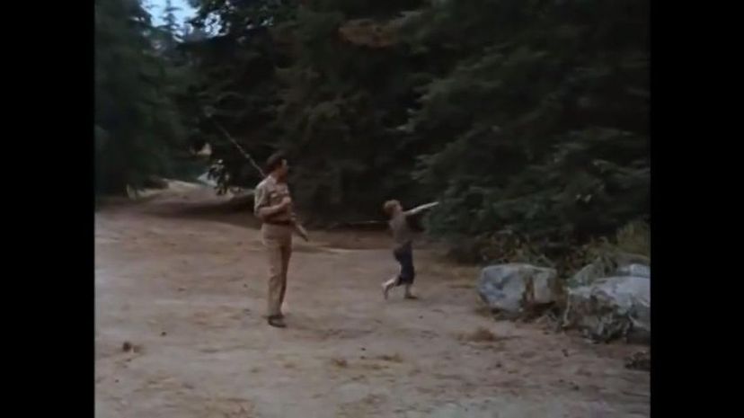 The Andy Griffith Show (1960-1968)