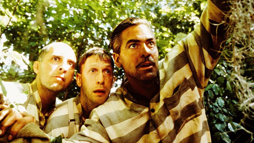 Which Character from "O Brother, Where Art Thou?" Are You?