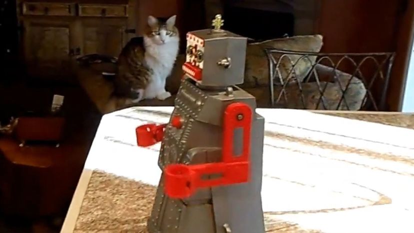 Robert the Robot