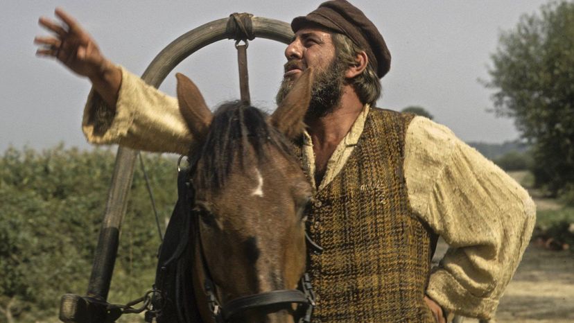What do you know about "Fiddler on the Roof"?